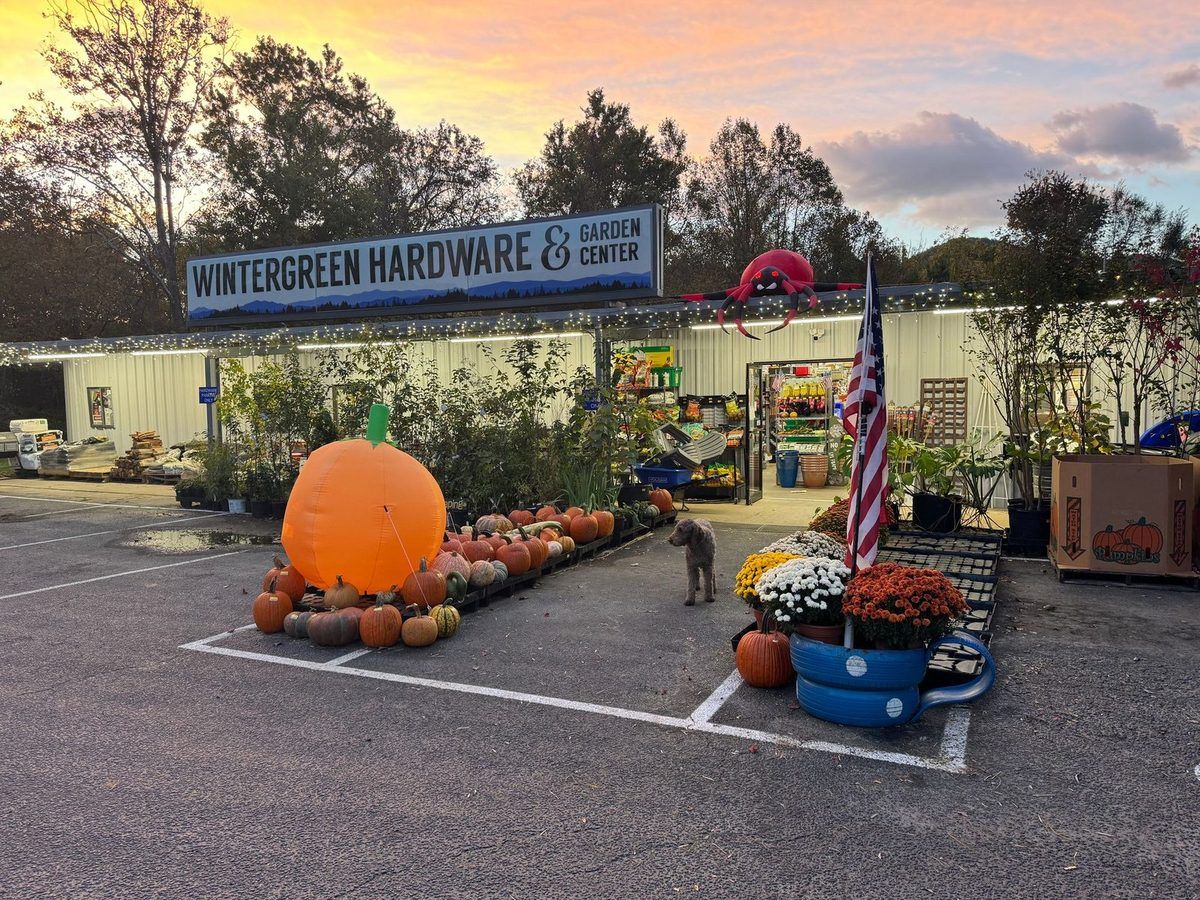The storefront at sunset in fall: a giant inflatable pumpkin and rows of pumpkins in the lot, mums in blue tubs, an American flag, and Herbert standing in the lot